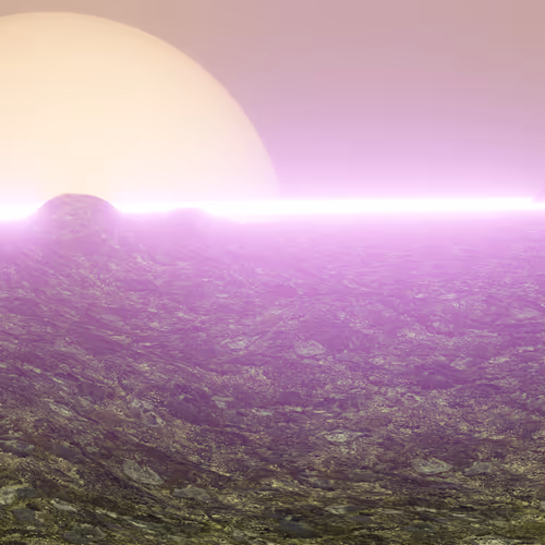 OpenSea banner for @SeNuKa