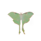 NKRandhawa