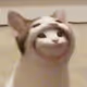 artjemm