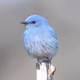 0x3ba4f680e3ec4c321985c9407f0ce36815dbe192