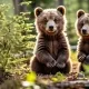 0x3be150204e155ee5d0aa3d86722ecbd8ba912e6a