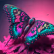 CosmicDiva