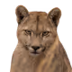 fr4ncisco