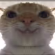 0x3c18a6068115f145d8840b7d43fd8dfde22d8479