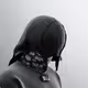 Play_Dog