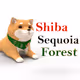 ShibaSequoiaForest