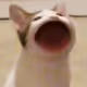0x3c8852e019029aa7adfd60c7d5566392660d74ee