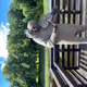 dwd-dwd