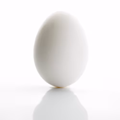 OpenSea profile picture for @SecretEgg