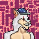 noob_degen