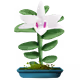 thieuthuarc