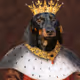 RexxKing
