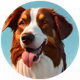 DogSwap