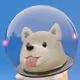 ThePupSanctuary