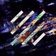 seizor