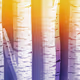 CyberAspen