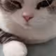btcethkingeth