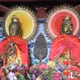 huangtianhoutu