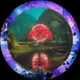 CosmicRob