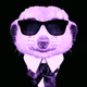 XXXXXXuserXXXXXXX