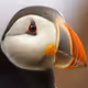 AtlanticPuffin