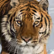 johnybit_5