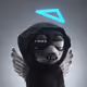 D4V1D