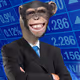 Singe_Venale