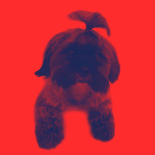 OpenSea profile picture for @Auntie