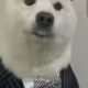 Nishiii