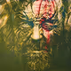 Brushes_and_Stunts