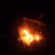 FArhad_r
