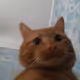 0x3ef6ea8b5a7d14ac10a81385102601ad1faf4518