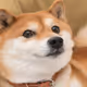0x3f30a82c234f547e2813c6103b9d01b0f101eca9