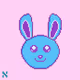 PixelPii