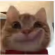 dsfhyrhyk
