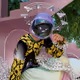 midwest_misfit