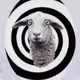 0x3f55f87be7b4df302a2777e834f61bb6bd4b6149