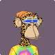 CheetahVault