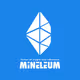Mineleum