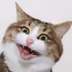 0x3fa4b7bddfab60c2fa4aba1863d42ec3ec873af3