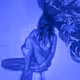 cryptonatrixxx