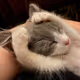 Catyua