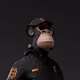 0x3fc3a5ea73266e5f887a08400d3bf6be9c04358c