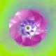 0x3fe2896a4b68c58410c649d856f649122c183b0d