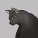 Electroniccat