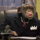 CryptoChimpanzee