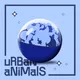 KoyiKabuto