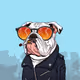JunkYardDogs