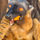 Montana_0x1530bot